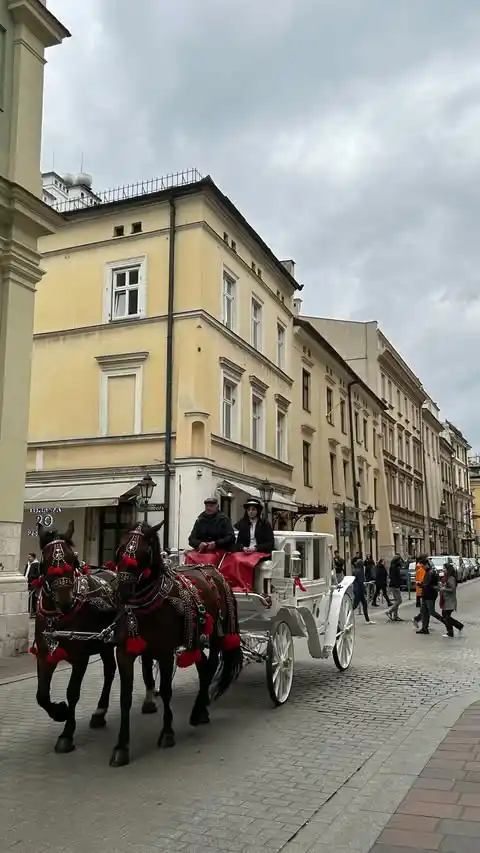 Krakow and Warsaw, Poland photo 8 - 502250948 18500820484002596 2682386500813658202 N