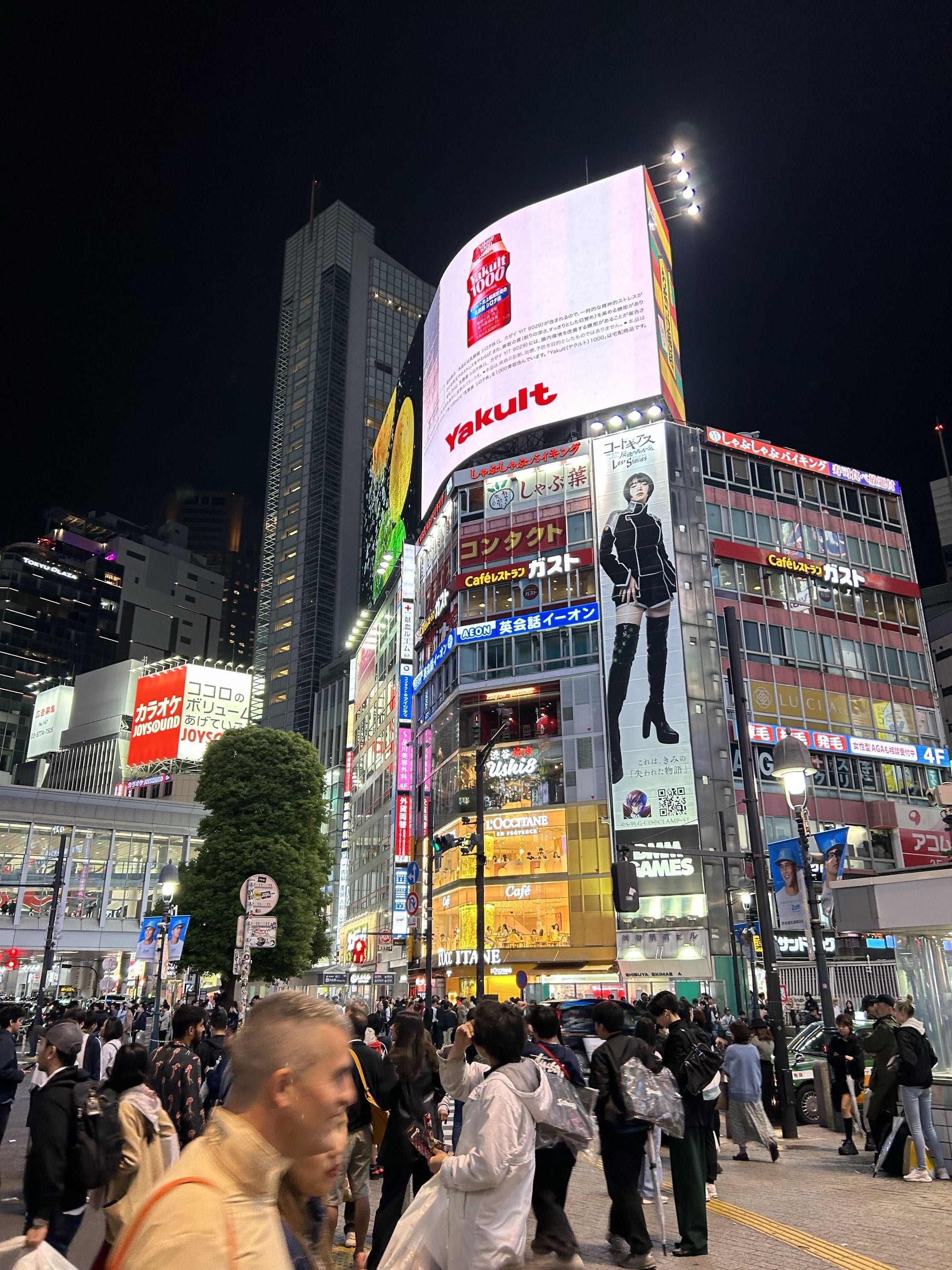 Tokyo and Osaka, Japan photo 10 - Shibuya